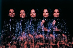 Diane in concert in L.A.