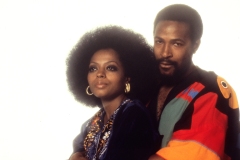 For Diana-Marvin album