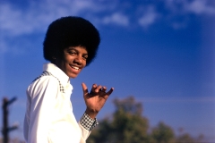 Michael Jackson Nuscan