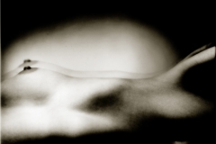 A.N.-3bw2