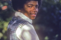 MJ-shadows_