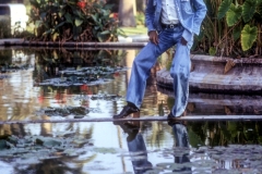 MJPond2