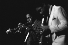 Wynton-1-24