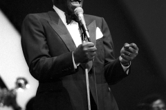 Joe Williams