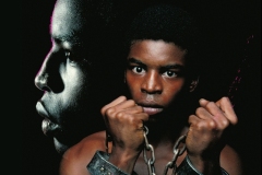 Roots 24